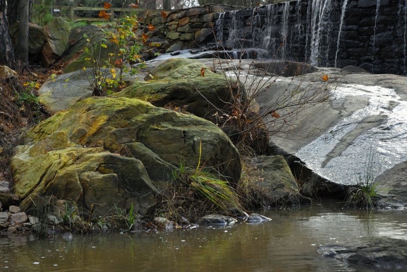 Tranquillity at Yates Mill