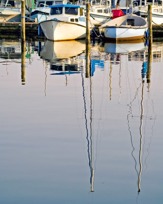 Harbour reflections