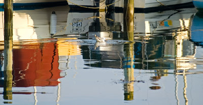 Harbour abstract