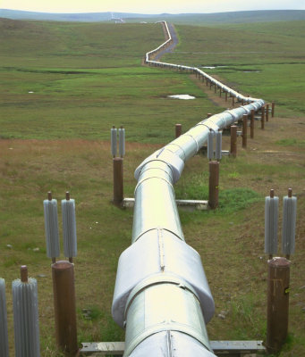 The Pipeline