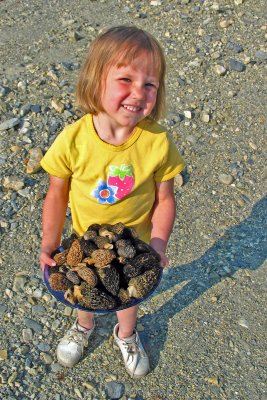 Emily Collects Morel Mushrooms