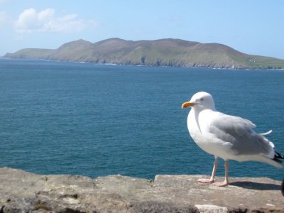 25Apr03.jpg