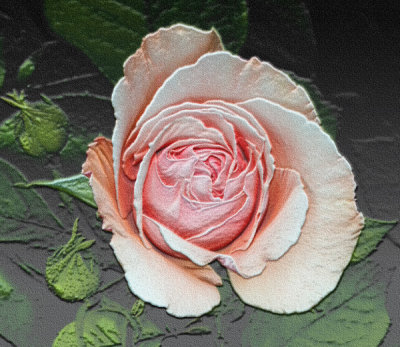 B002046.jpg