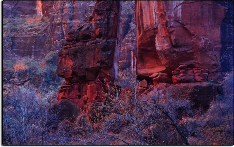 In Zion Canyon
