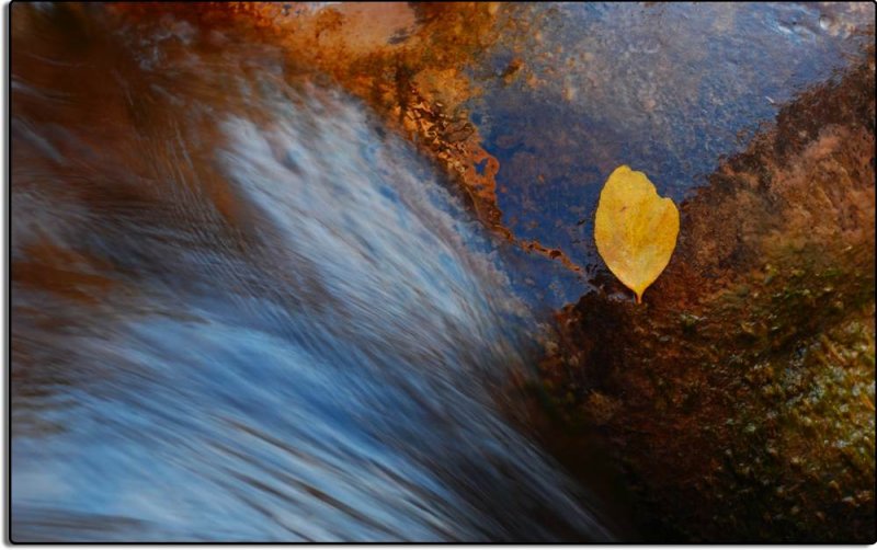 Water, Rock and Leaf - Who Wins?