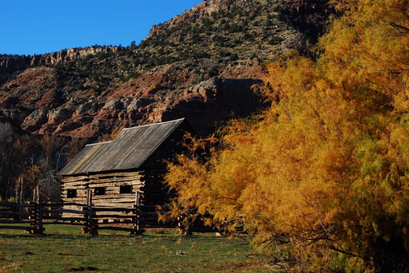 At the ghost town of Grafton.