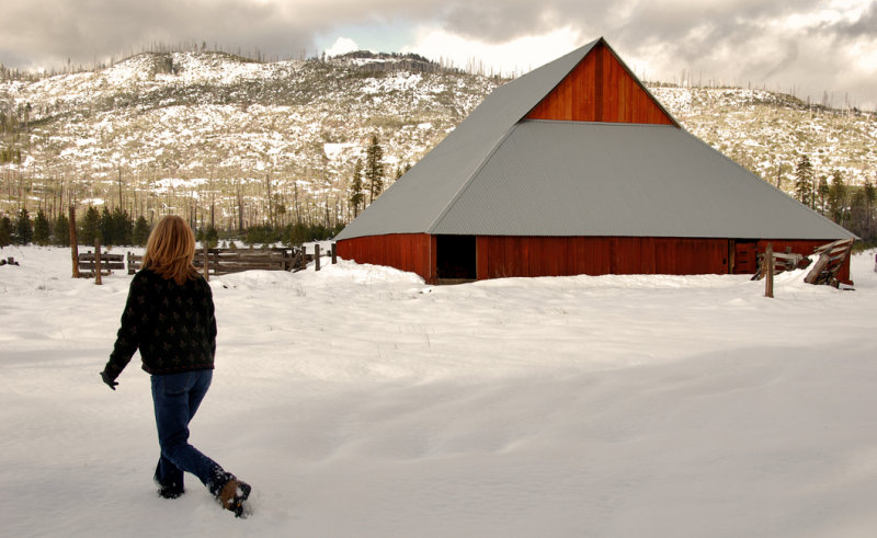 Foresta Barn