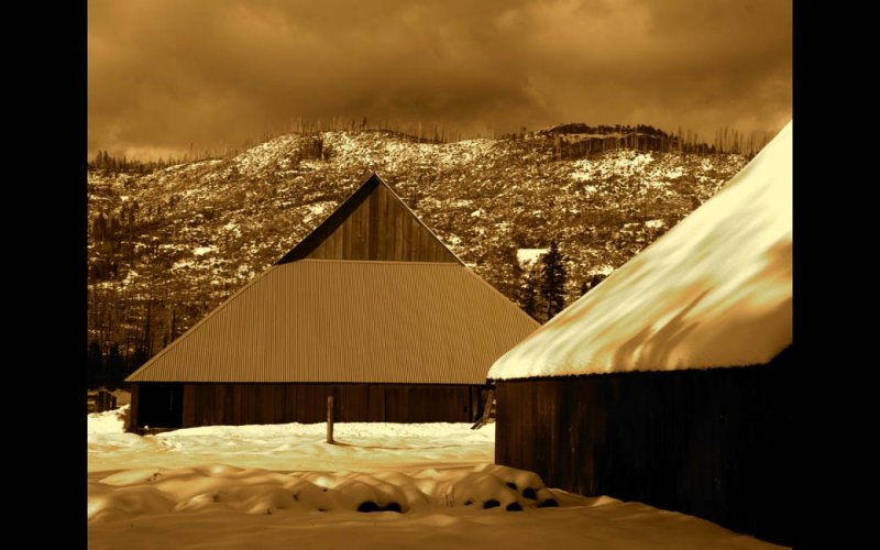 Barns at Foresta