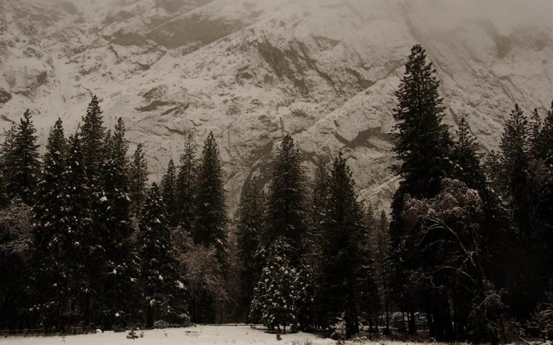 Snow Plasters the Granite Cliff, Curry Village