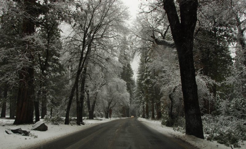 Along Northside Road - When A Color Photograph is Black and White