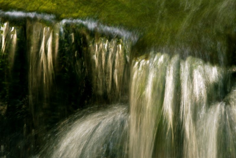 Fern Spring, Yosemite