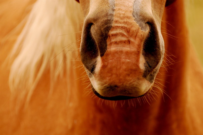 Ready for his Close-Up
