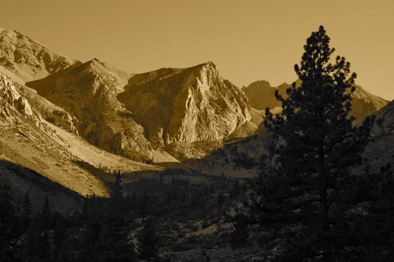 View up the South Fork of Big Pine Creek