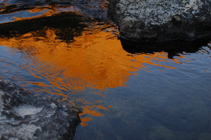 Dawn in Reflection