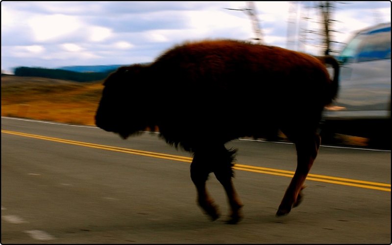 Charging Across the Road