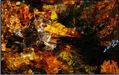 Leaves Underwater - Abstract #1