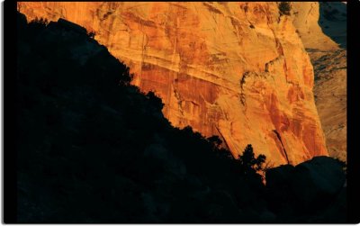 Light and Dark in Zion Canyon