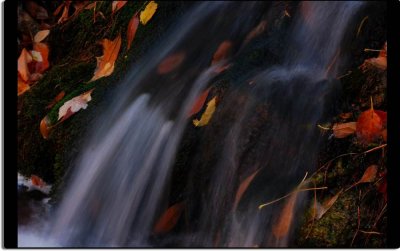 Cascade and Leaves of Autumn