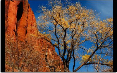 Color in Zion Canyon