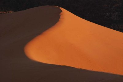 Last Light Over The Dune