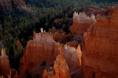 Morning Light Bounces Around the Hoodoos at Bryce Canyon