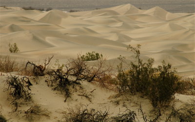 Sand Dunes Under Soft Light