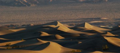 Dune Shadows