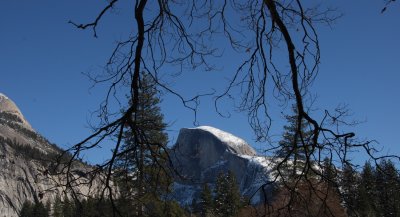 Half Dome from Residence One