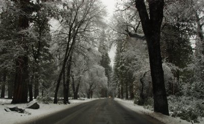 Yosemite in Winter - 2007