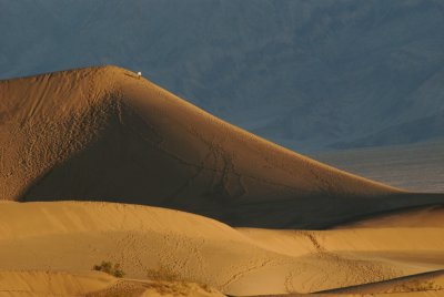 Small Person, Large Dune