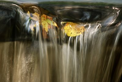 On the Brink - Big Chico Creek, Chico, California