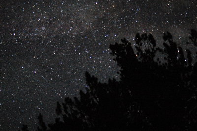 Starry view from my sleeping bag