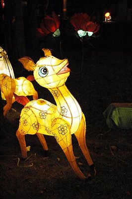 Sha Tin - Mid-autumn Lantern Carnival
