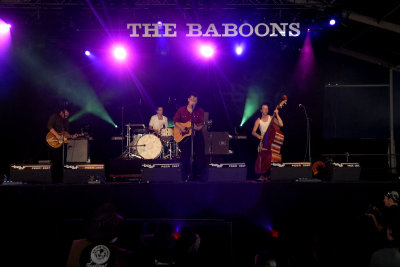 the Baboons   -   brbf 2007