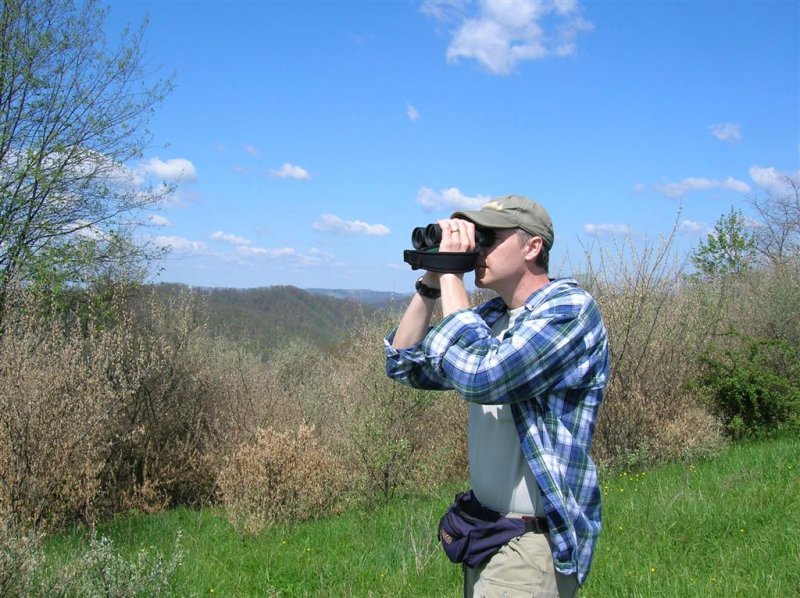 Searching for Raptors