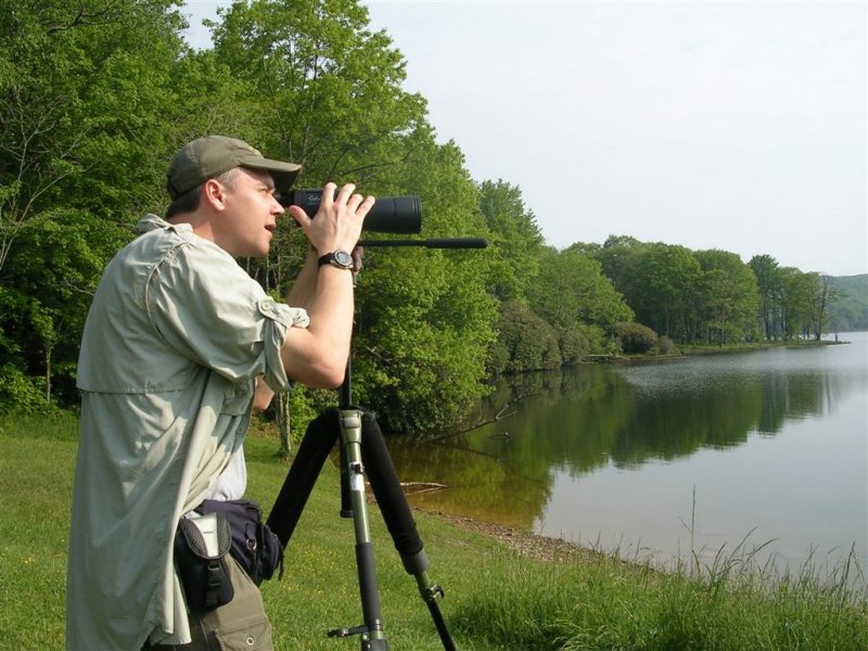 Scanning for waterfowl