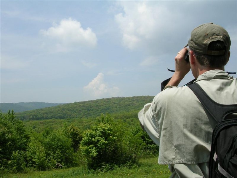 Looking toward Beartown Mountain