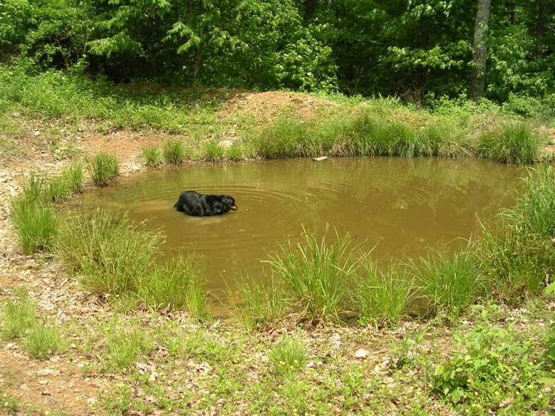 Chazzy Cools Off