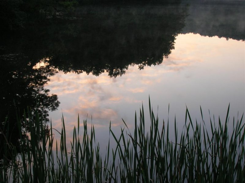 Relections of Sunrise