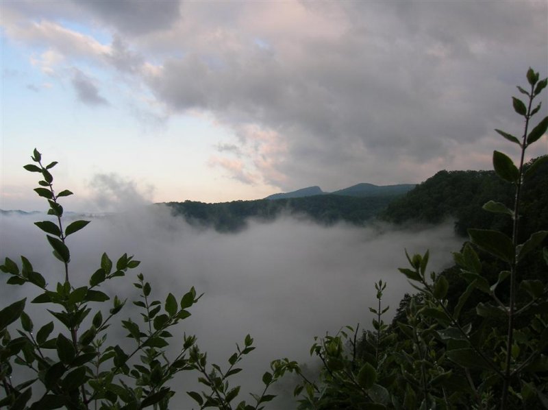 Pine Mountain