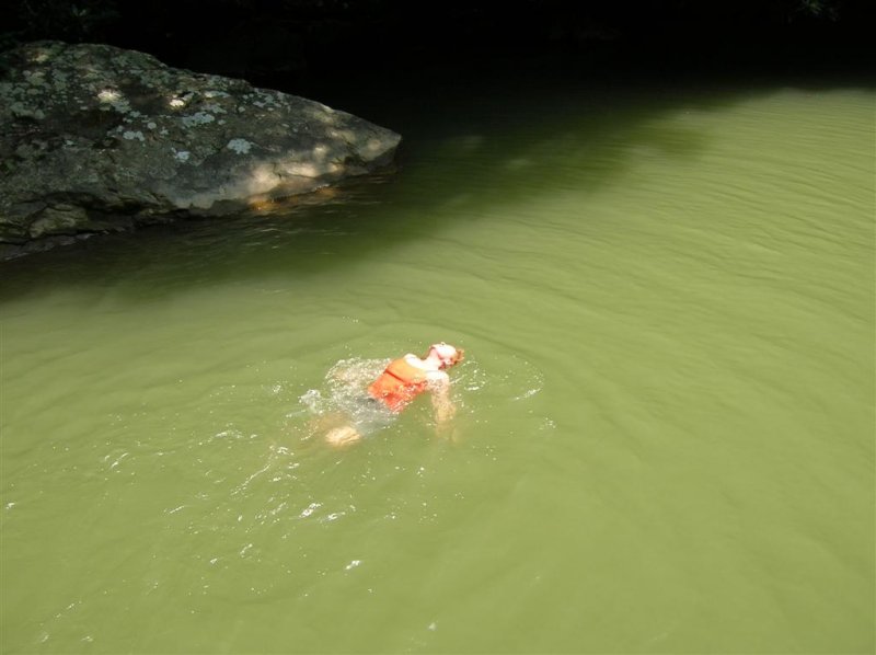 Bathing Beauty