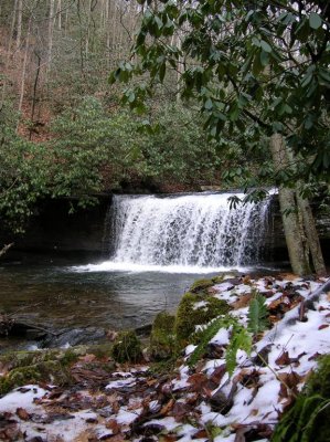 Russell Co. Christmas Bird Count - December 30, 2006