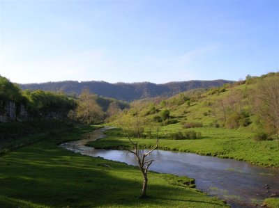 Late Spring in Tazewell County