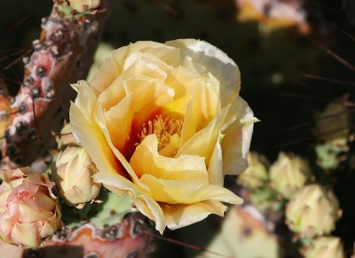 g6/54/636154/3/76455630.Hr1OkTDh.jpg