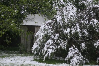 Easter 2007 Snow Storm
