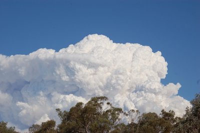 Smoke - looking East