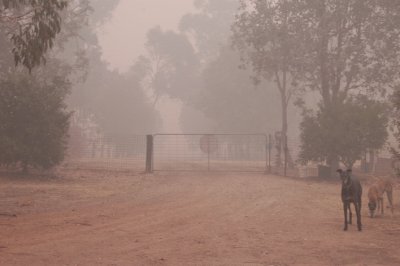 Smoke 01 8-12-06 - top of our driveway.