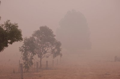 Smoke  8-12-06  Into the paddocks.