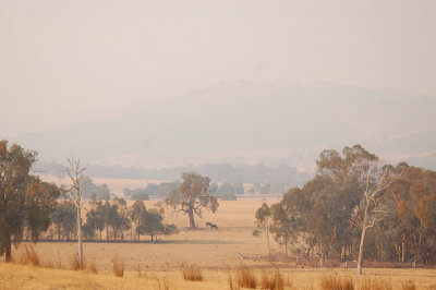 Early morning smoke from our hill