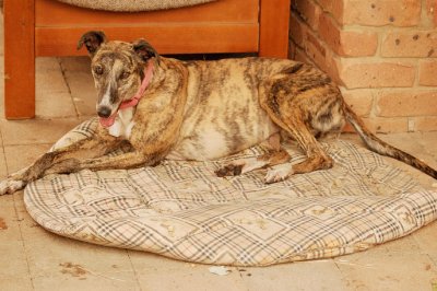 Terri relaxing after a play in the pool.